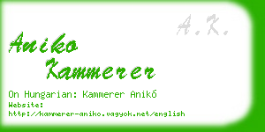 aniko kammerer business card